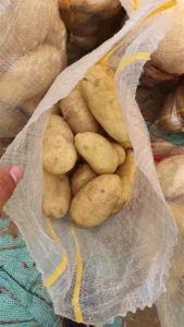 تصدير البطاطس المصرى